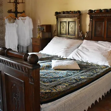 Apartment Dragulj *